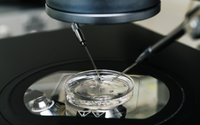 Changes and Challenges in the IVF Laboratory